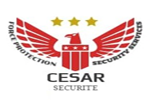 CESAR SECURITE  ( Gardiennage ) 
