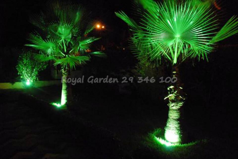 Royal Garden 1