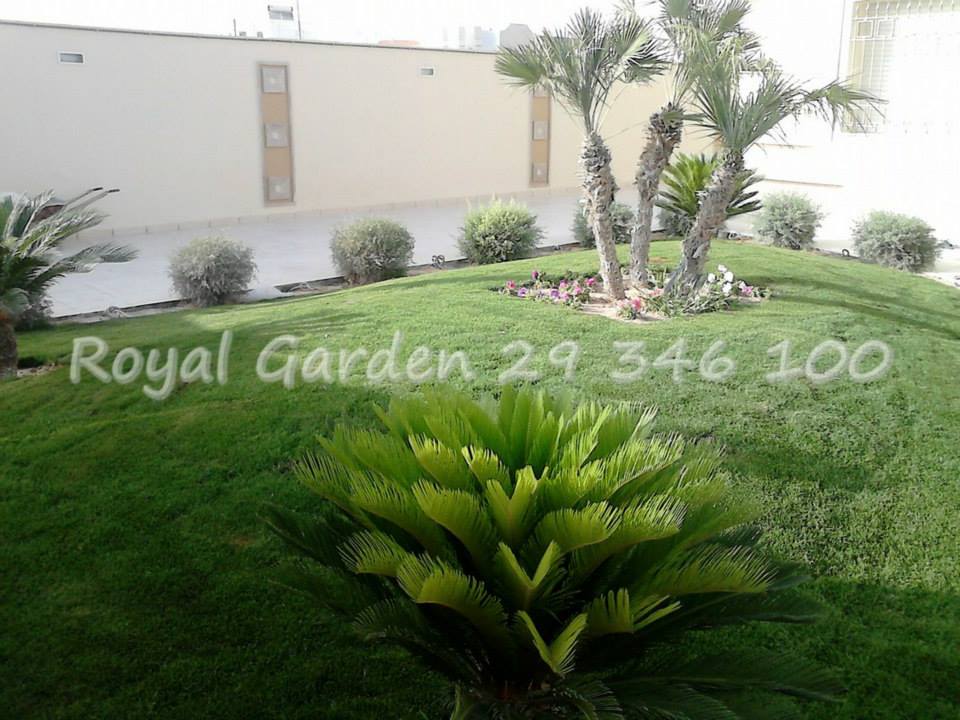 Royal Garden 15