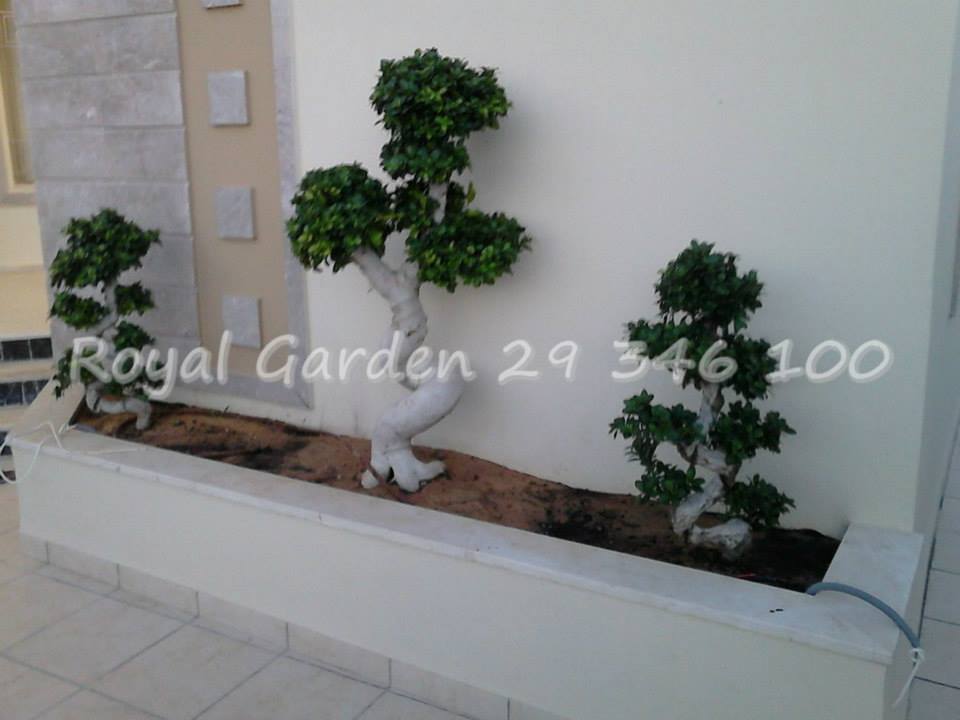 Royal Garden 19